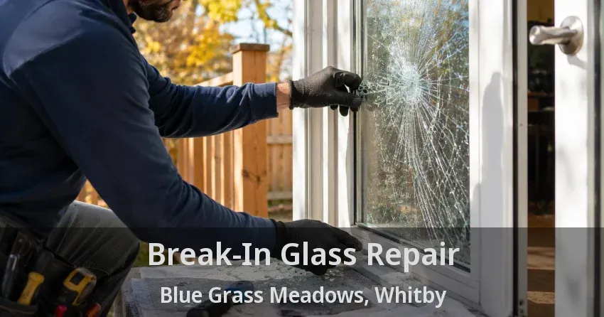 Break-In Glass Repair Blue Grass Meadows, Whitby - ON