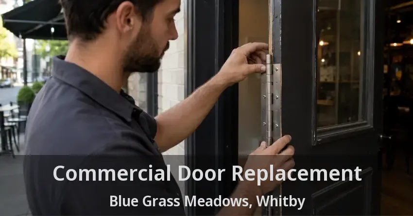 Commercial Door Replacement Blue Grass Meadows, Whitby - ON