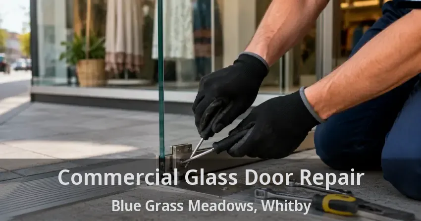Commercial Glass Door Repair Blue Grass Meadows, Whitby - ON