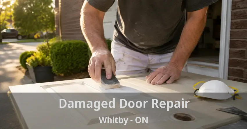 Damaged Door Repair Whitby - ON