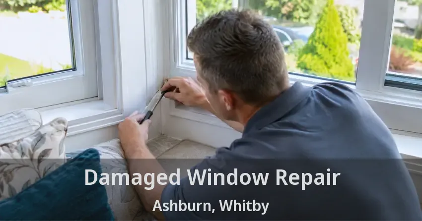 Damaged Window Repair Ashburn, Whitby - ON