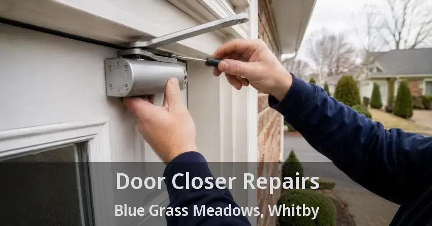 Door Closer Repairs Blue Grass Meadows, Whitby - ON
