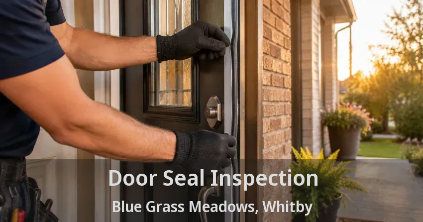 Door Seal Inspection Blue Grass Meadows, Whitby - ON