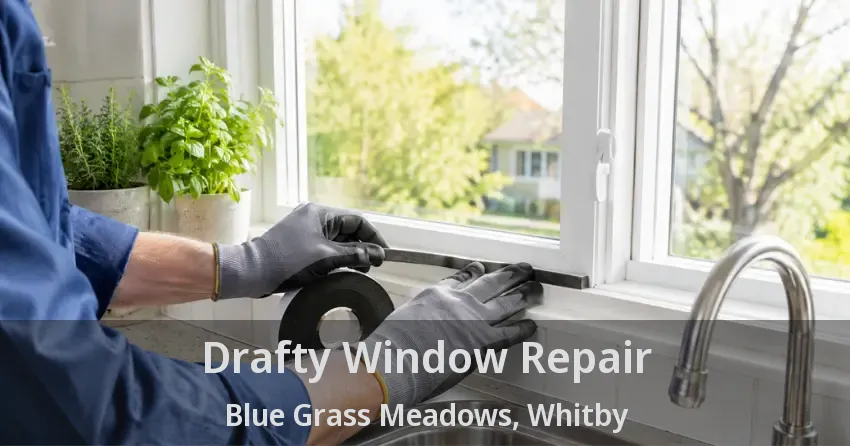 Drafty Window Repair Blue Grass Meadows, Whitby - ON