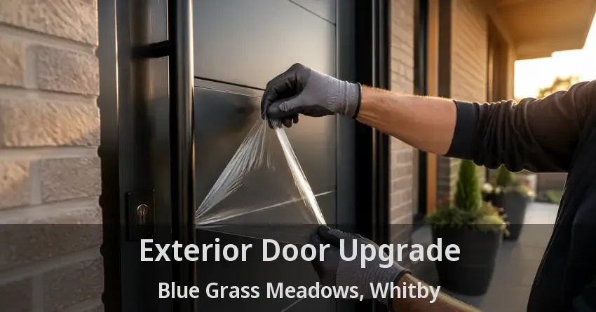 Exterior Door Upgrade Blue Grass Meadows, Whitby - ON
