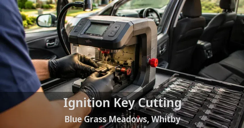 Ignition Key Cutting Blue Grass Meadows, Whitby - ON