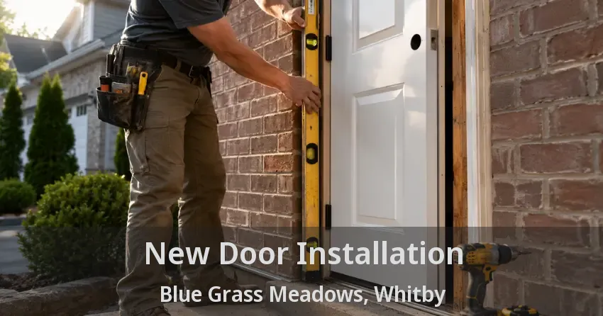 New Door Installation Blue Grass Meadows, Whitby - ON