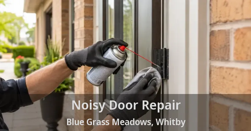 Noisy Door Repair Blue Grass Meadows, Whitby - ON