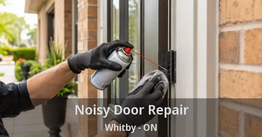Noisy Door Repair Whitby - ON