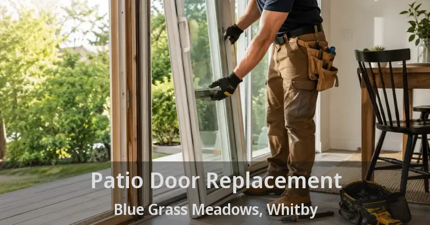 Patio Door Replacement Blue Grass Meadows, Whitby - ON