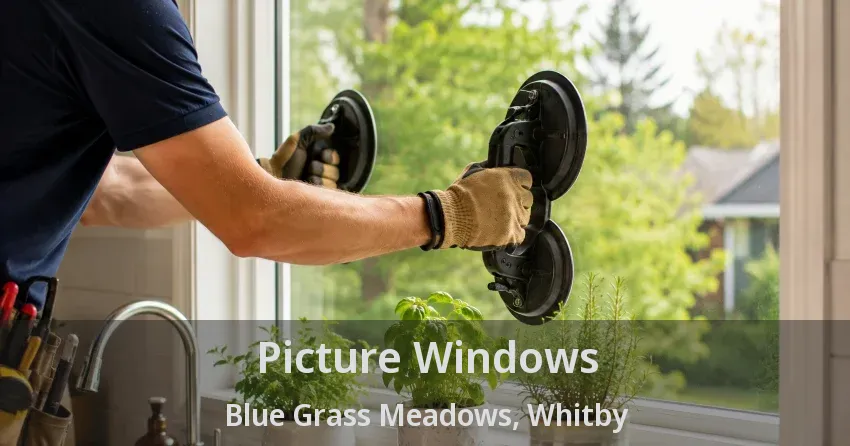 Picture Windows Blue Grass Meadows, Whitby - ON