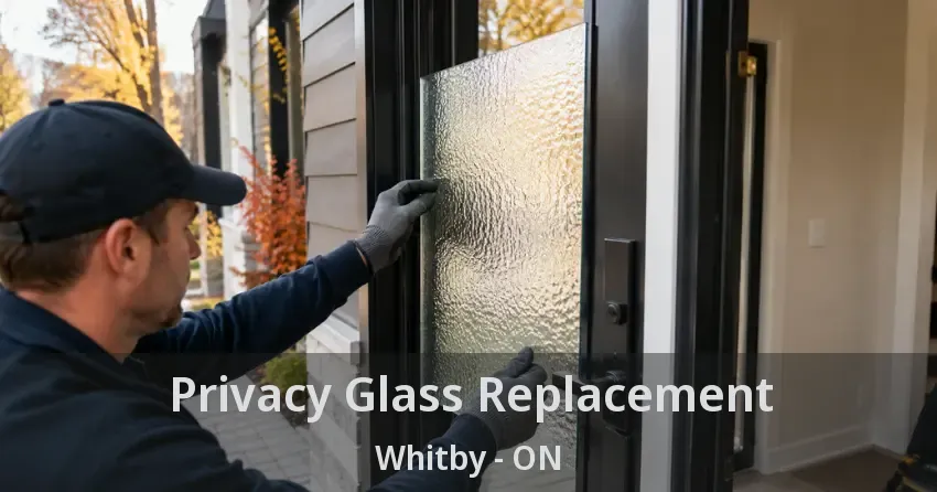 Privacy Glass Replacement Whitby - ON