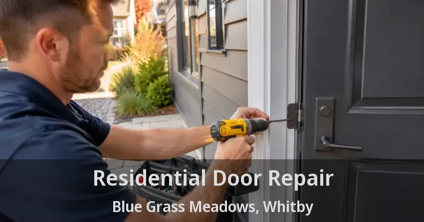 Residential Door Repair Blue Grass Meadows, Whitby - ON
