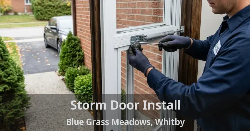 Storm Door Install Blue Grass Meadows, Whitby - ON