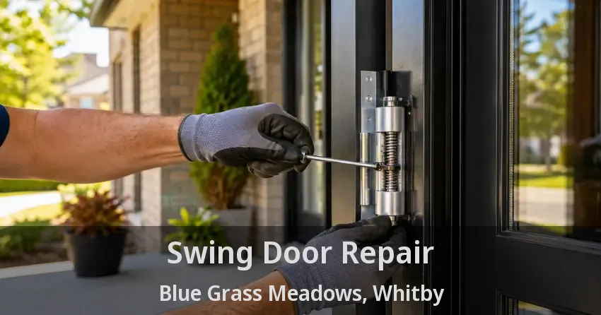 Swing Door Repair Blue Grass Meadows, Whitby - ON
