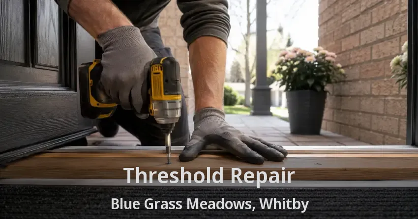 Threshold Repair Blue Grass Meadows, Whitby - ON