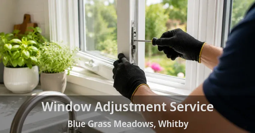 Window Adjustment Service Blue Grass Meadows, Whitby - ON