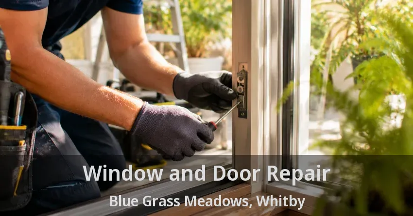 Window and Door Repair Blue Grass Meadows, Whitby - ON