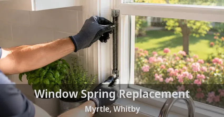 Window Spring Replacement Myrtle, Whitby - ON